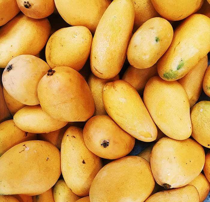 Indian mango ban